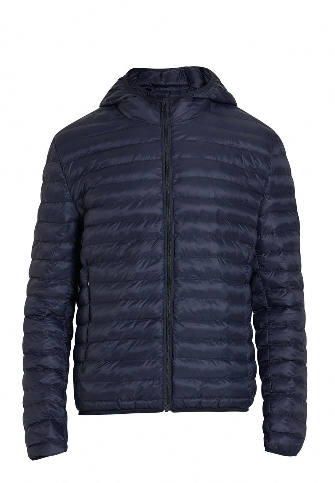 Beverly Hills Polo Club UK-POLO CLUB HOODED DOWN JACKET NAVY